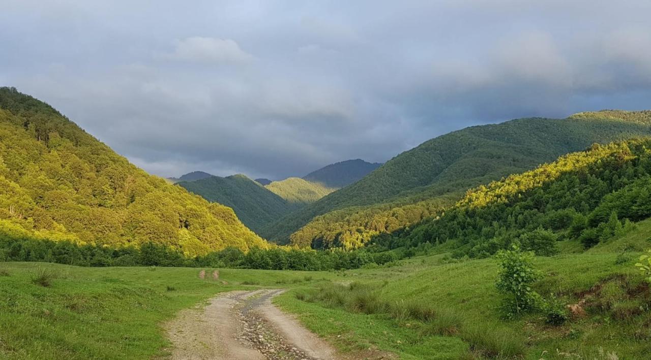 Haihui Pe Rusca Sebesu de Jos المظهر الخارجي الصورة